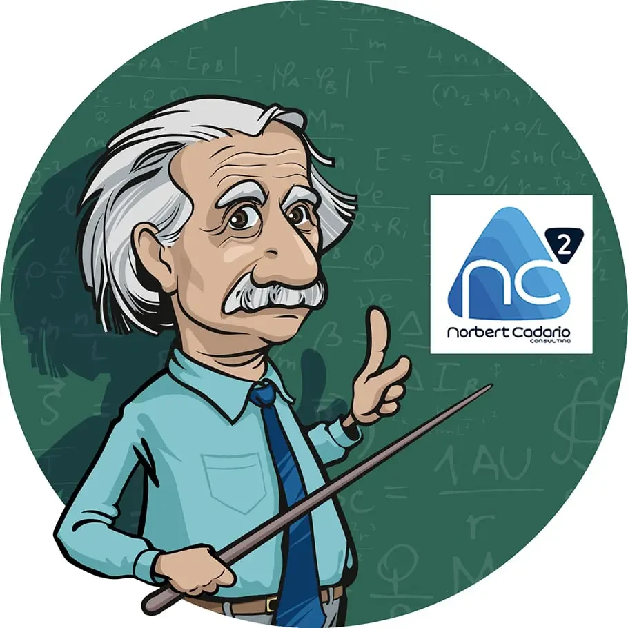 Norbert cadario consulting 1